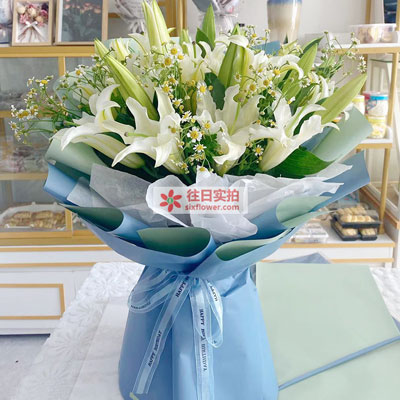 吕梁8支白色多头百合洋甘菊，互倾的思念